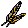 Wheat